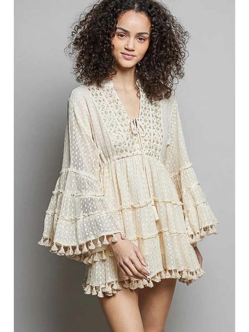 Pol Split Embroidery Tassel Detail V-Neck Flared Short Dress - NWT